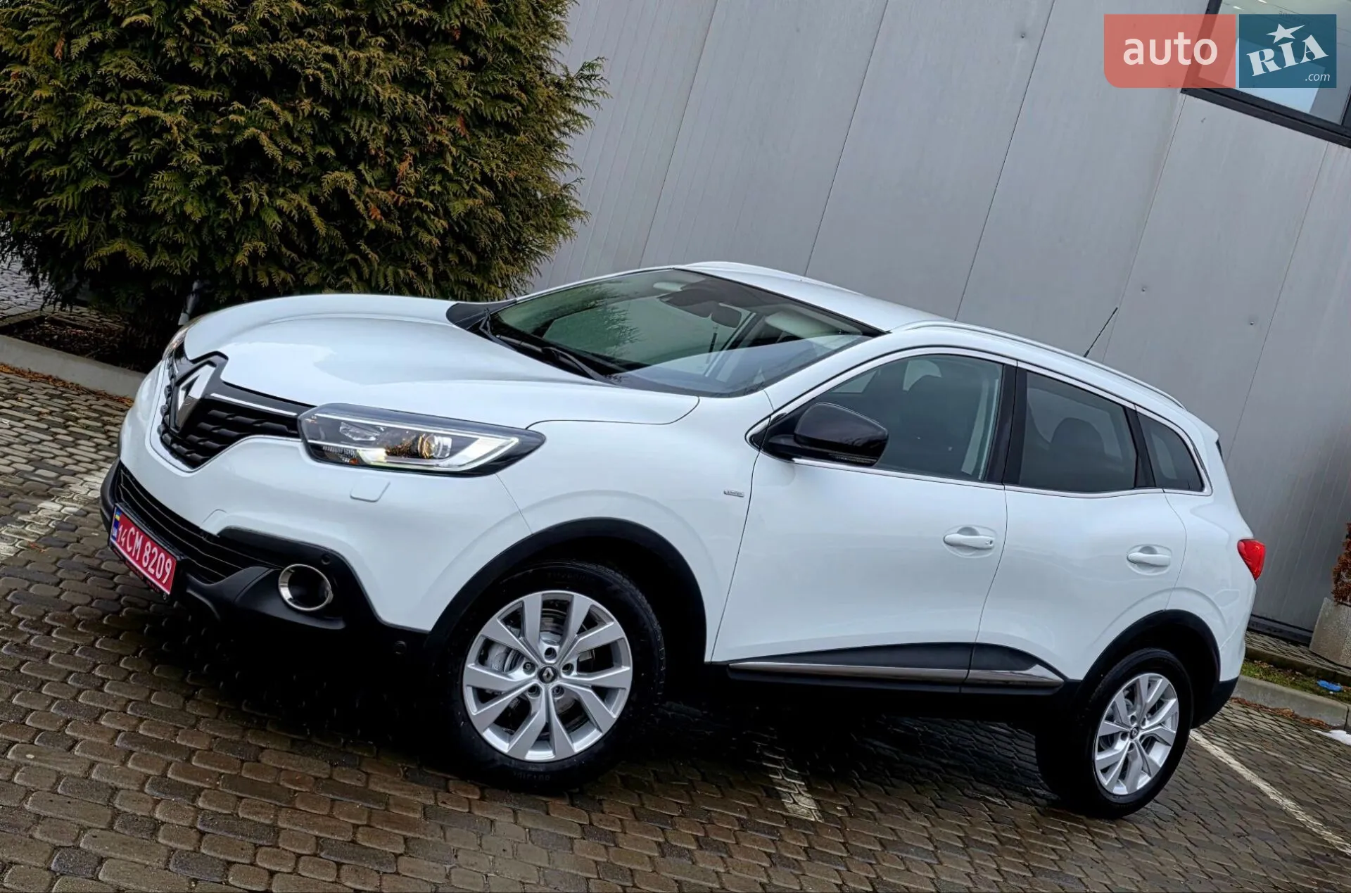 2019 Renault Kadjar - мініатюра 13