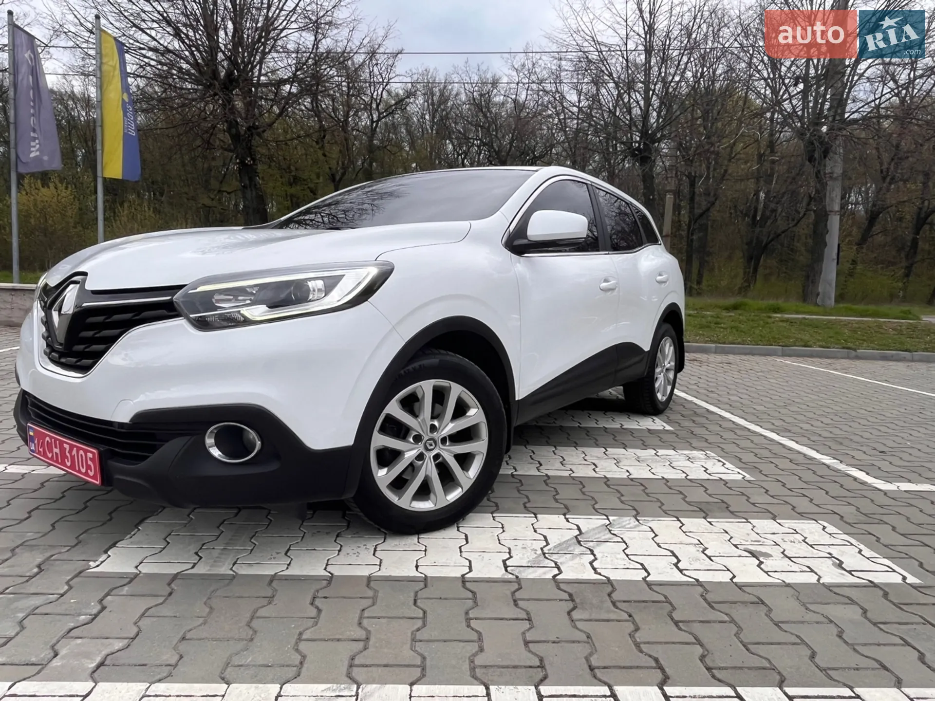2015 Renault Kadjar - мініатюра 12