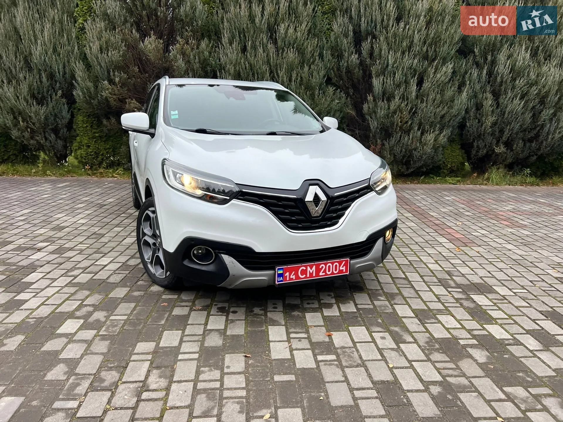 2015 Renault Kadjar - мініатюра 110
