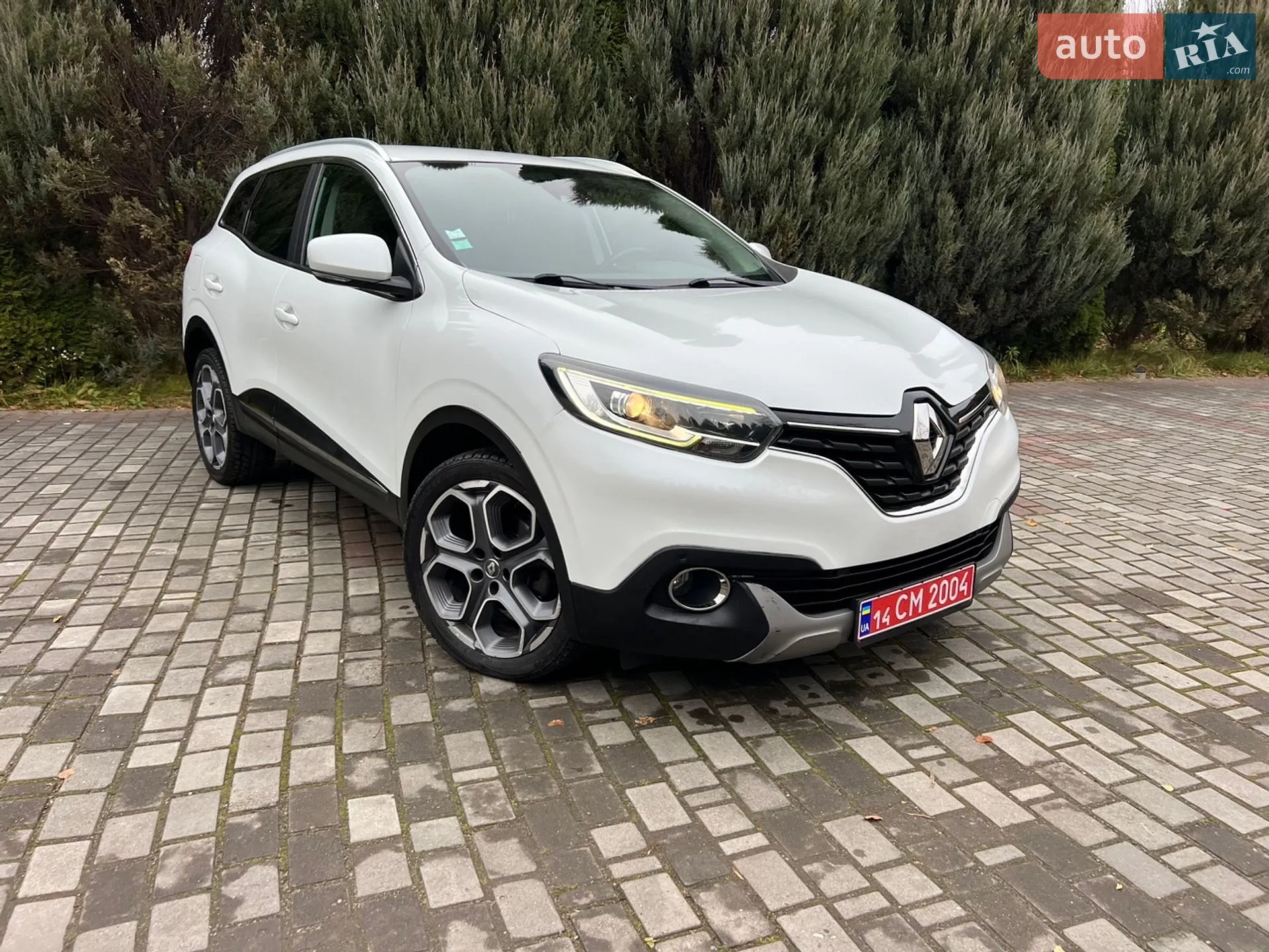 2015 Renault Kadjar - мініатюра 111