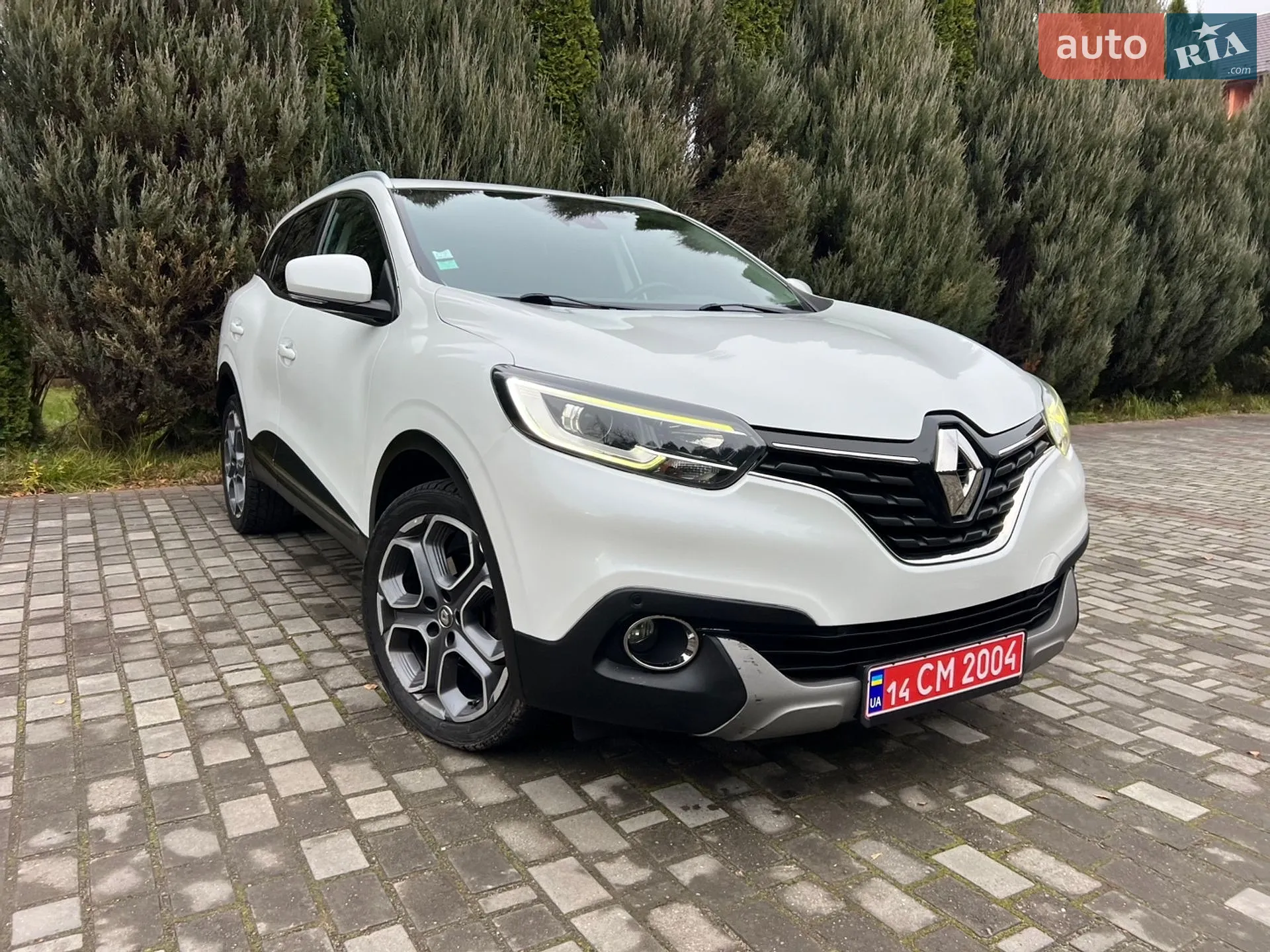 2015 Renault Kadjar - мініатюра 114