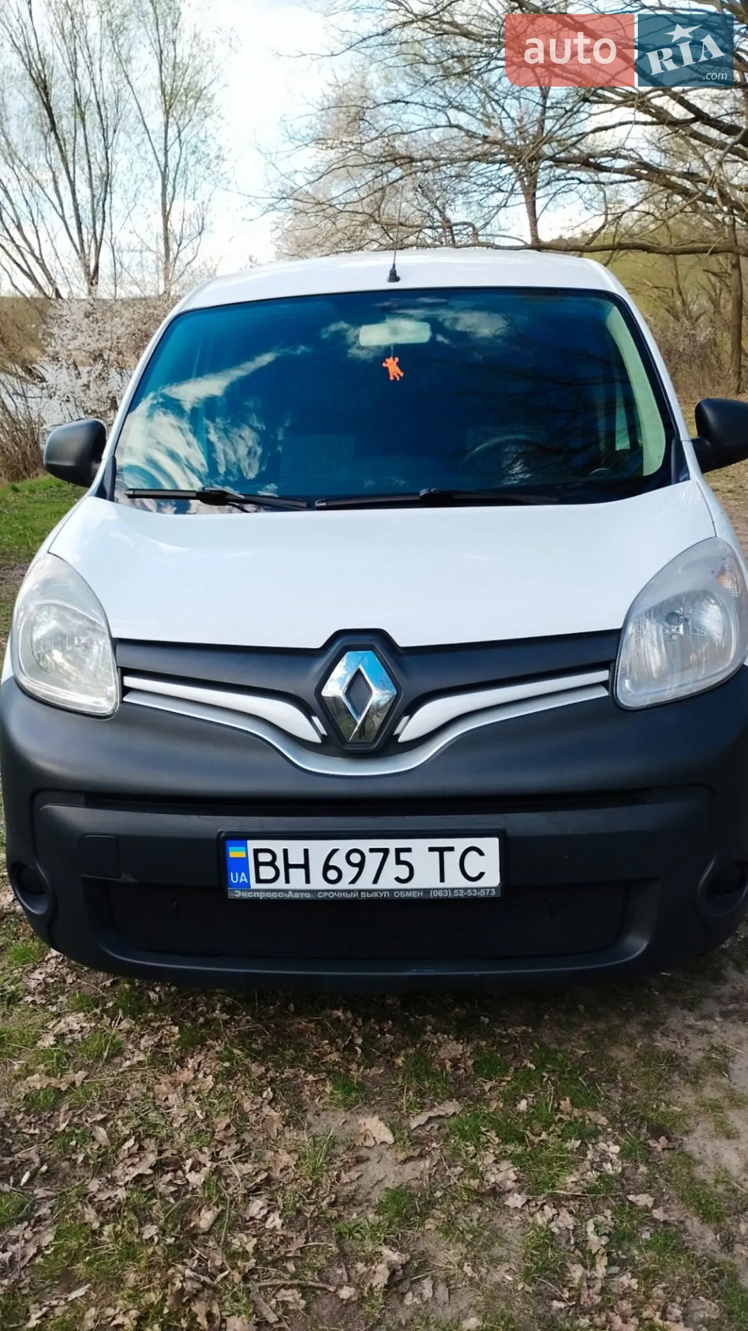 2016 Renault Kangoo - мініатюра 2
