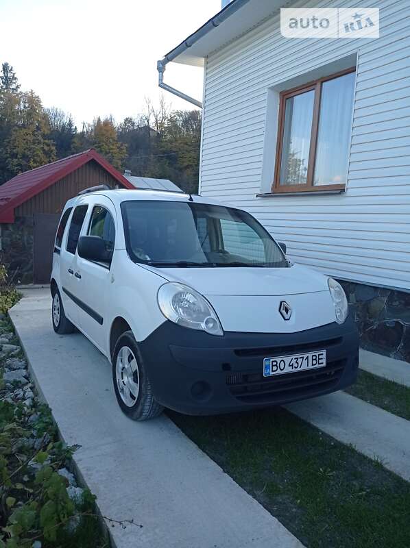 Минивэн Renault Kangoo 2008 в Долине