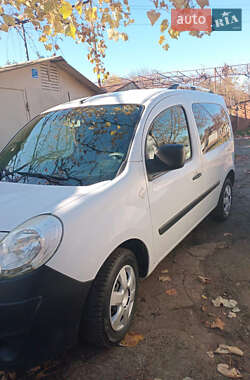 Минивэн Renault Kangoo 2009 в 