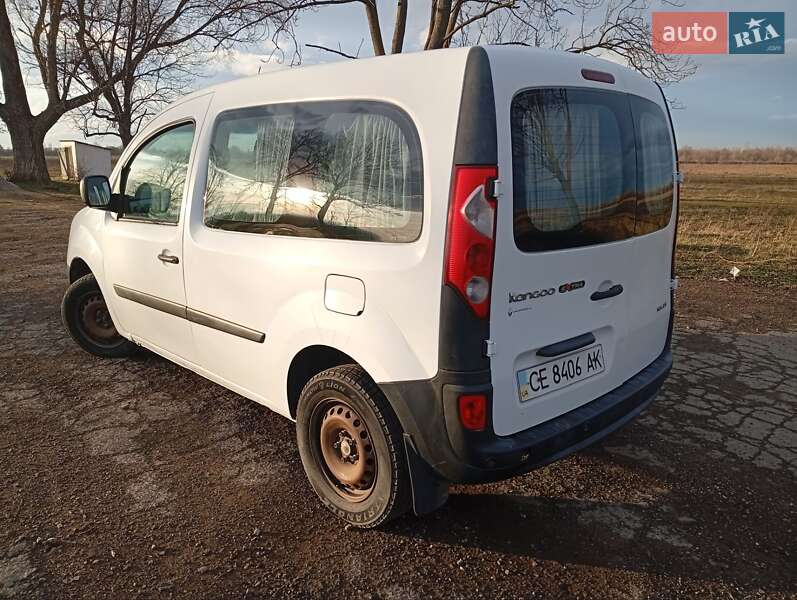 Мінівен Renault Kangoo 2010 в Вашківцях