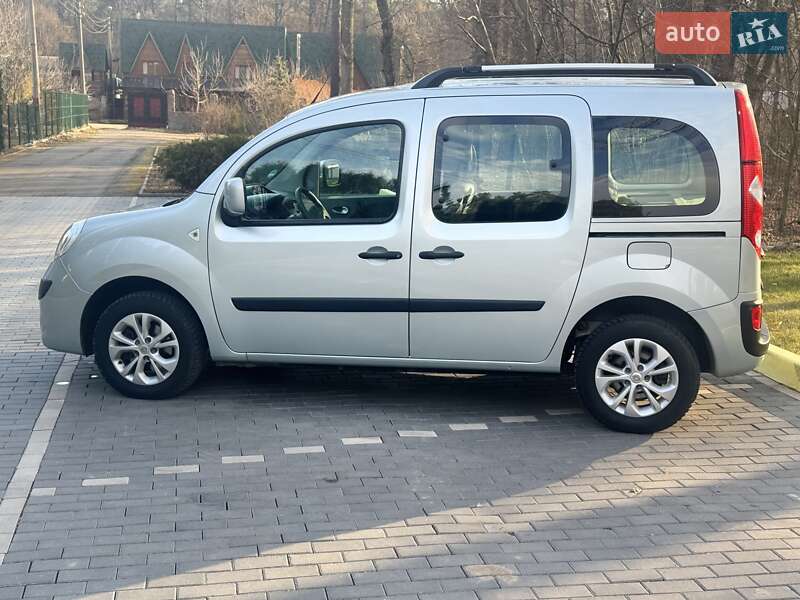 Минивэн Renault Kangoo 2009 в Шепетовке