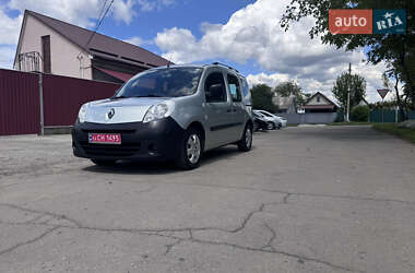 Минивэн Renault Kangoo 2009 в 