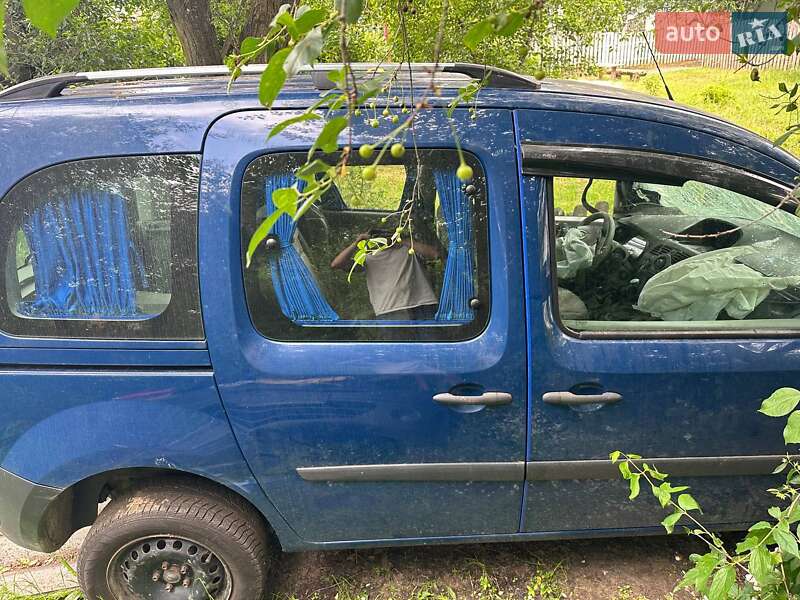Минивэн Renault Kangoo 2009 в 