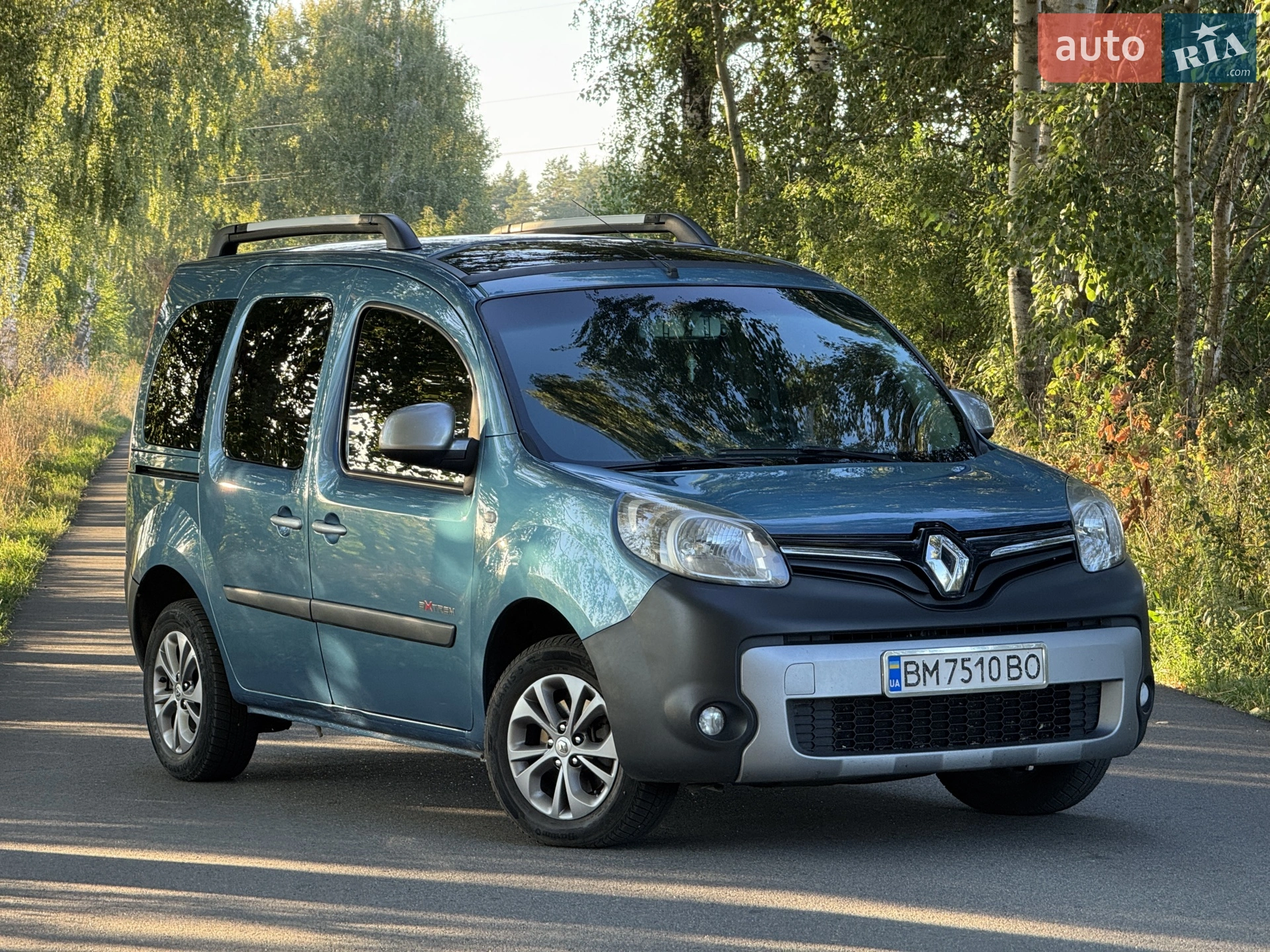 2013 Renault Kangoo - фото 1