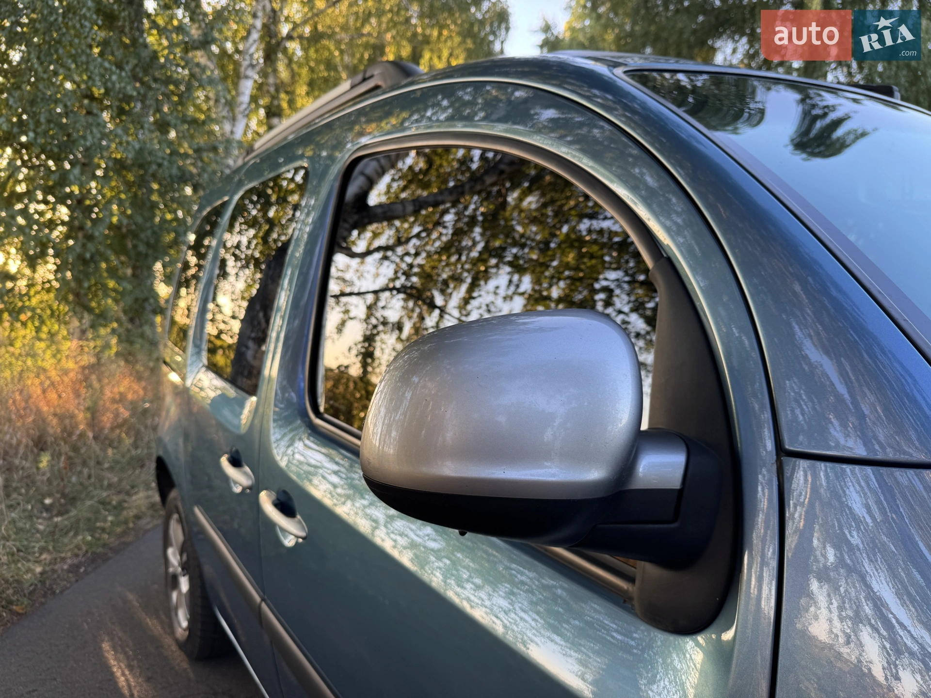 2013 Renault Kangoo - мініатюра 10