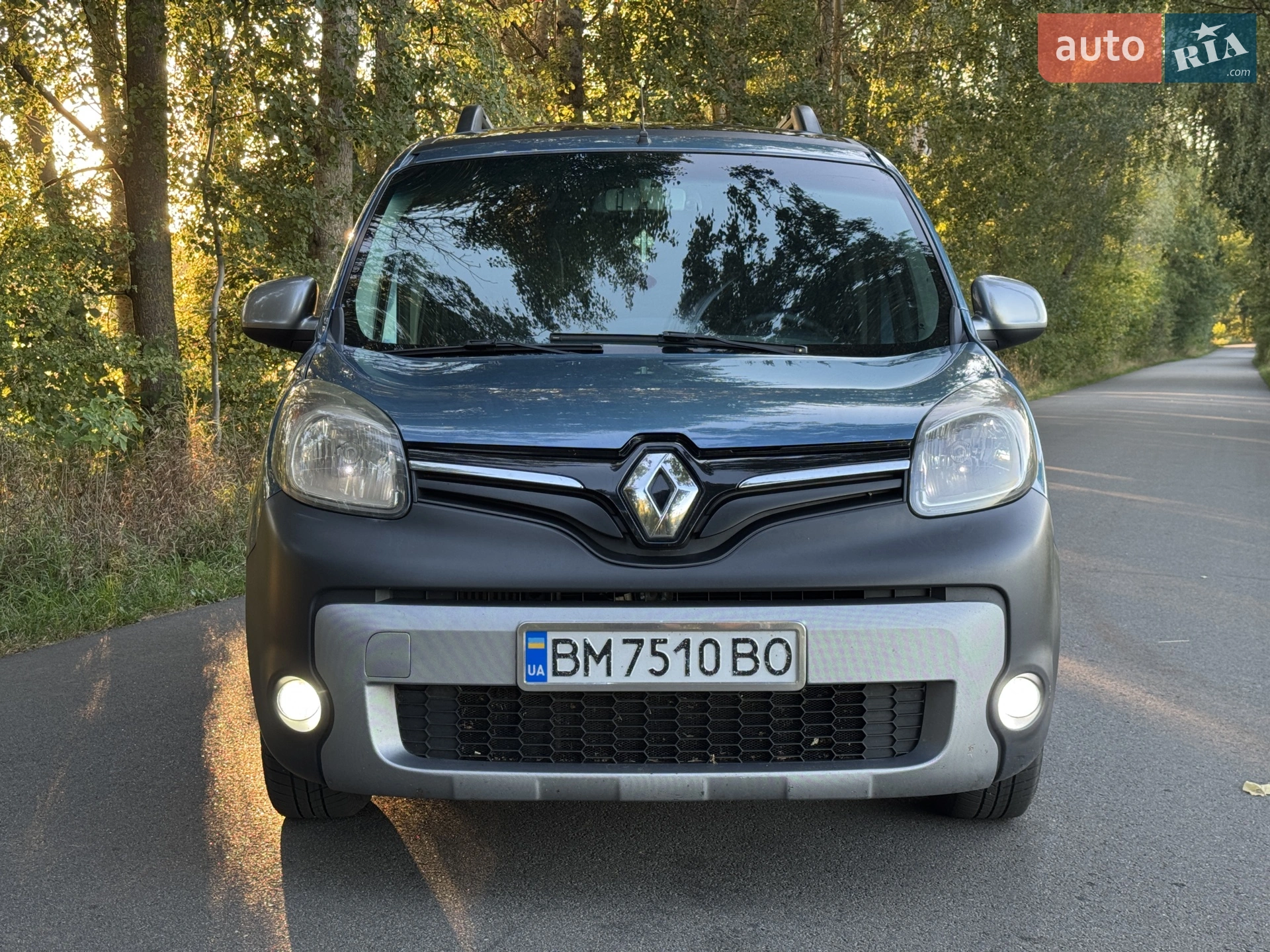 2013 Renault Kangoo - мініатюра 13