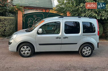 Минивэн Renault Kangoo 2009 в 