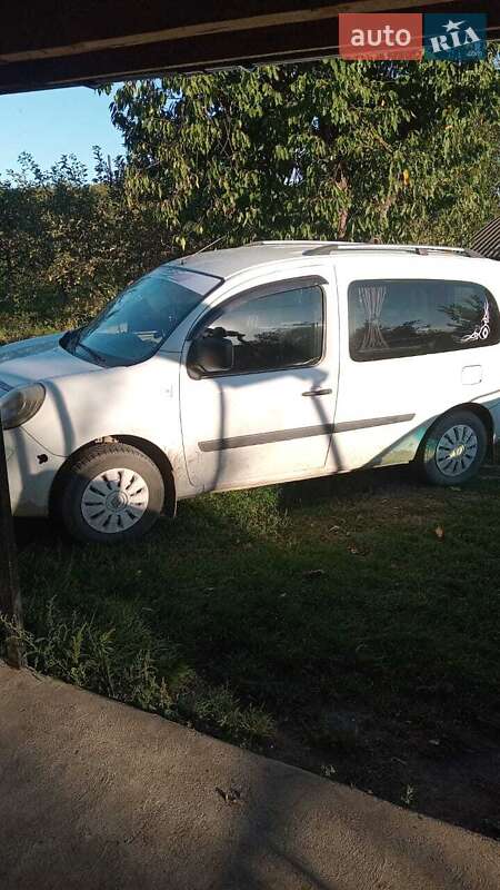 Минивэн Renault Kangoo 2009 в 
