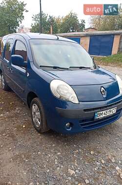 Минивэн Renault Kangoo 2010 в 