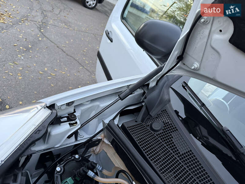 Минивэн Renault Kangoo 2019 в Днепре фото 91 Минивэн Renault Kangoo 2019 в Днепре