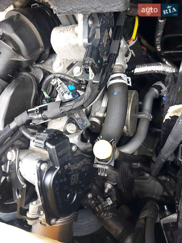 Грузовой фургон Renault Kangoo 2020 в Млинове фото 52 Грузовой фургон Renault Kangoo 2020 в Млинове