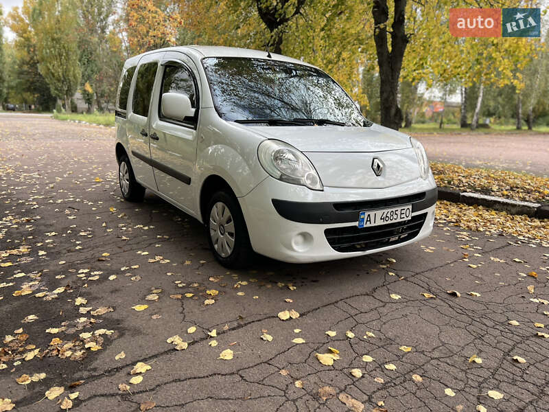 Мінівен Renault Kangoo 2008 в Житомирі