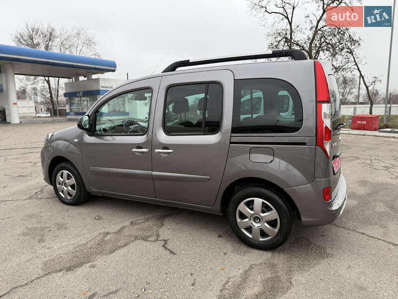 Минивэн Renault Kangoo 2018 в Днепре фото 25 Минивэн Renault Kangoo 2018 в Днепре