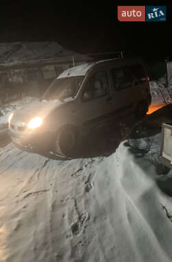 Минивэн Renault Kangoo 2004 в Виньковцах