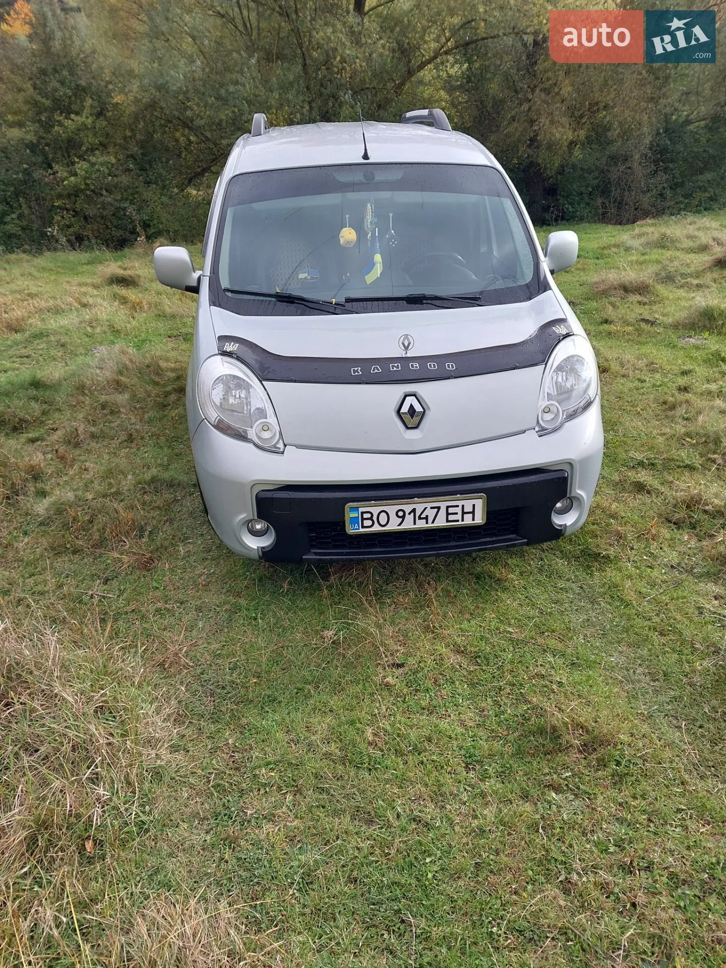2011 Renault Kangoo - мініатюра 17
