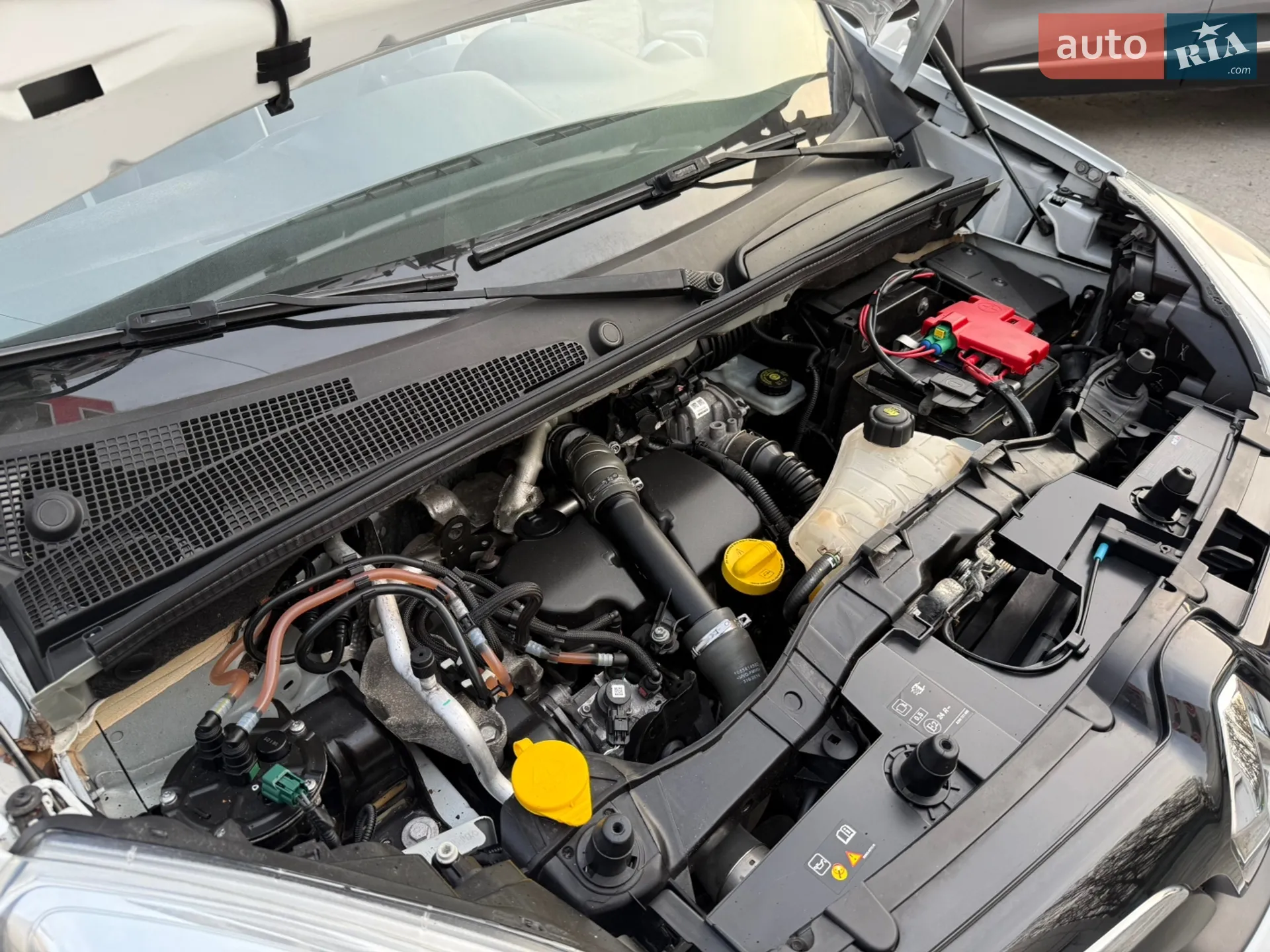 2015 Renault Kangoo - мініатюра 86
