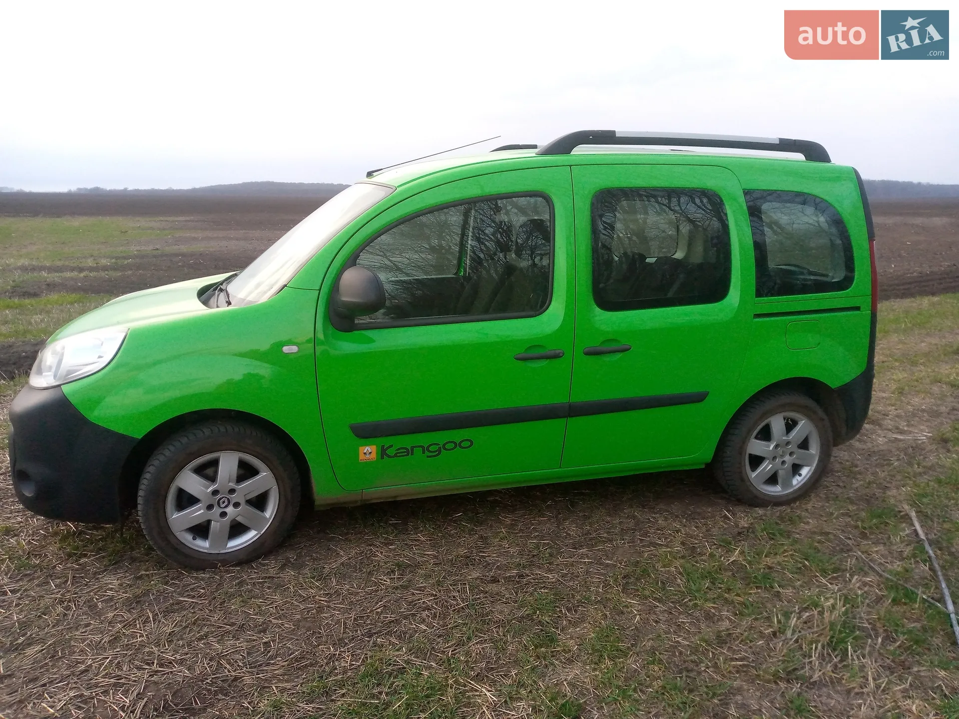 2013 Renault Kangoo - мініатюра 2