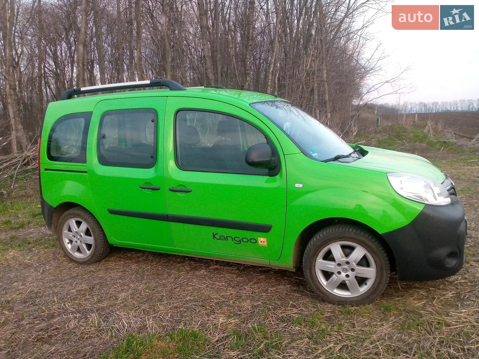 2013 Renault Kangoo - мініатюра 7