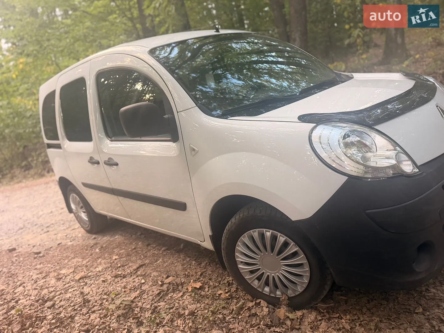 2010 Renault Kangoo - мініатюра 3