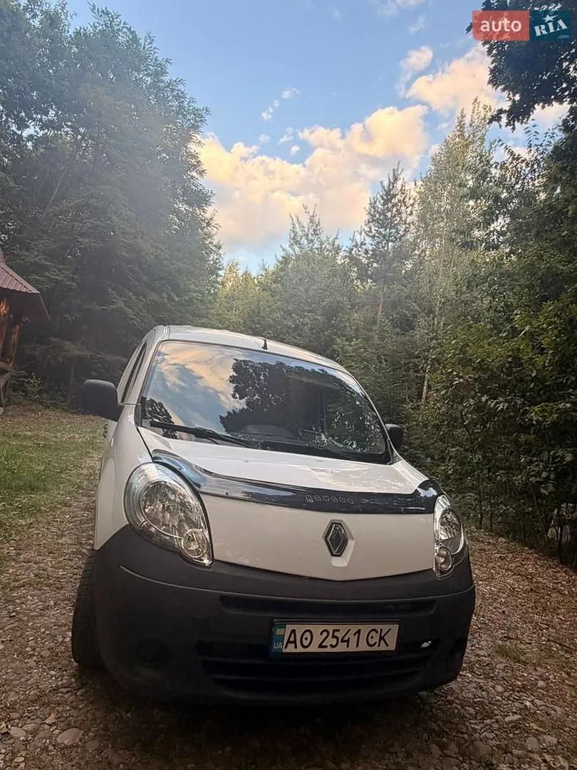 2010 Renault Kangoo - мініатюра 11