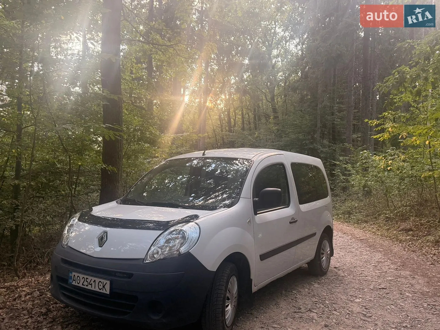 2010 Renault Kangoo - фото 1