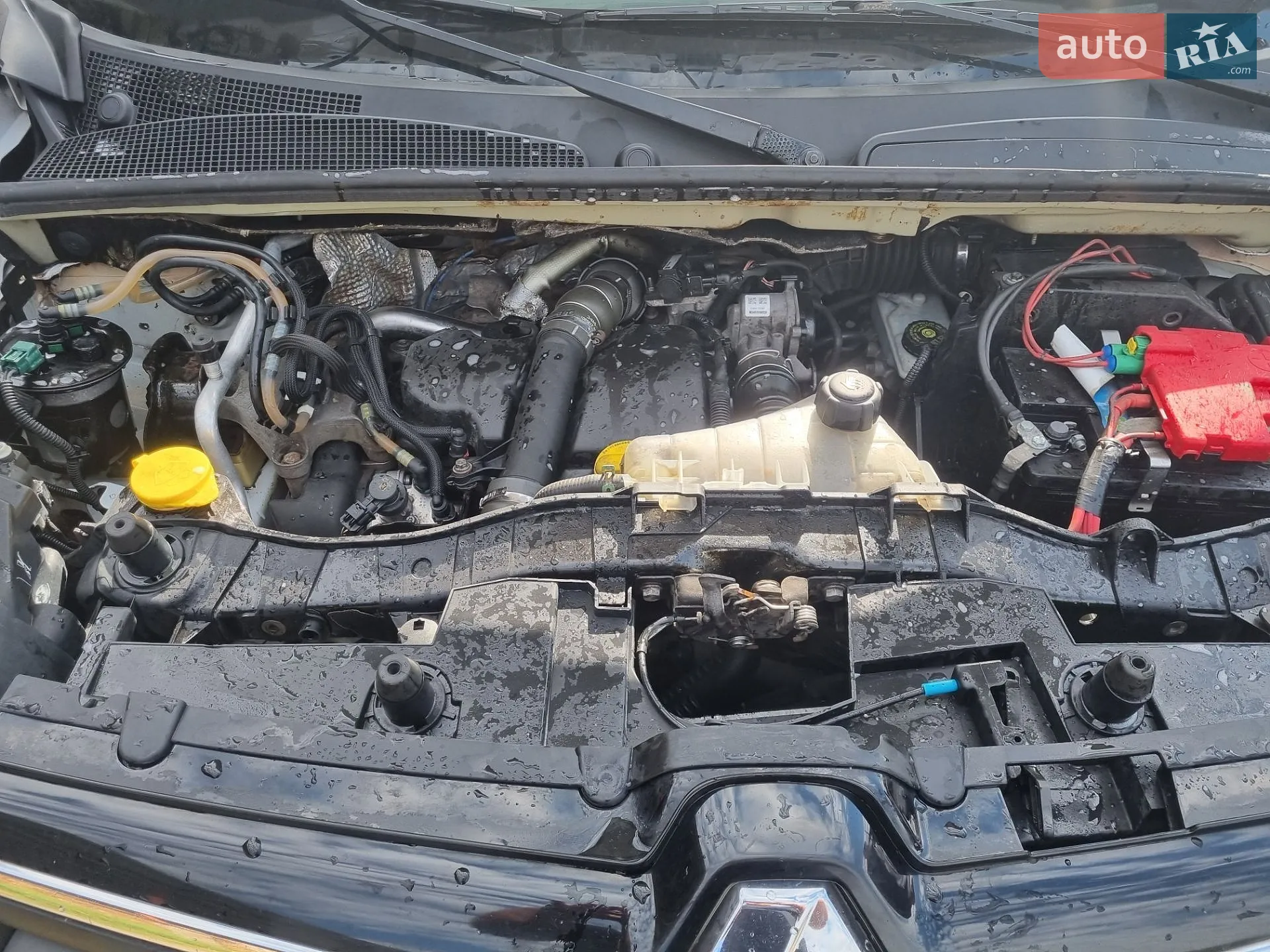 2014 Renault Kangoo - мініатюра 19