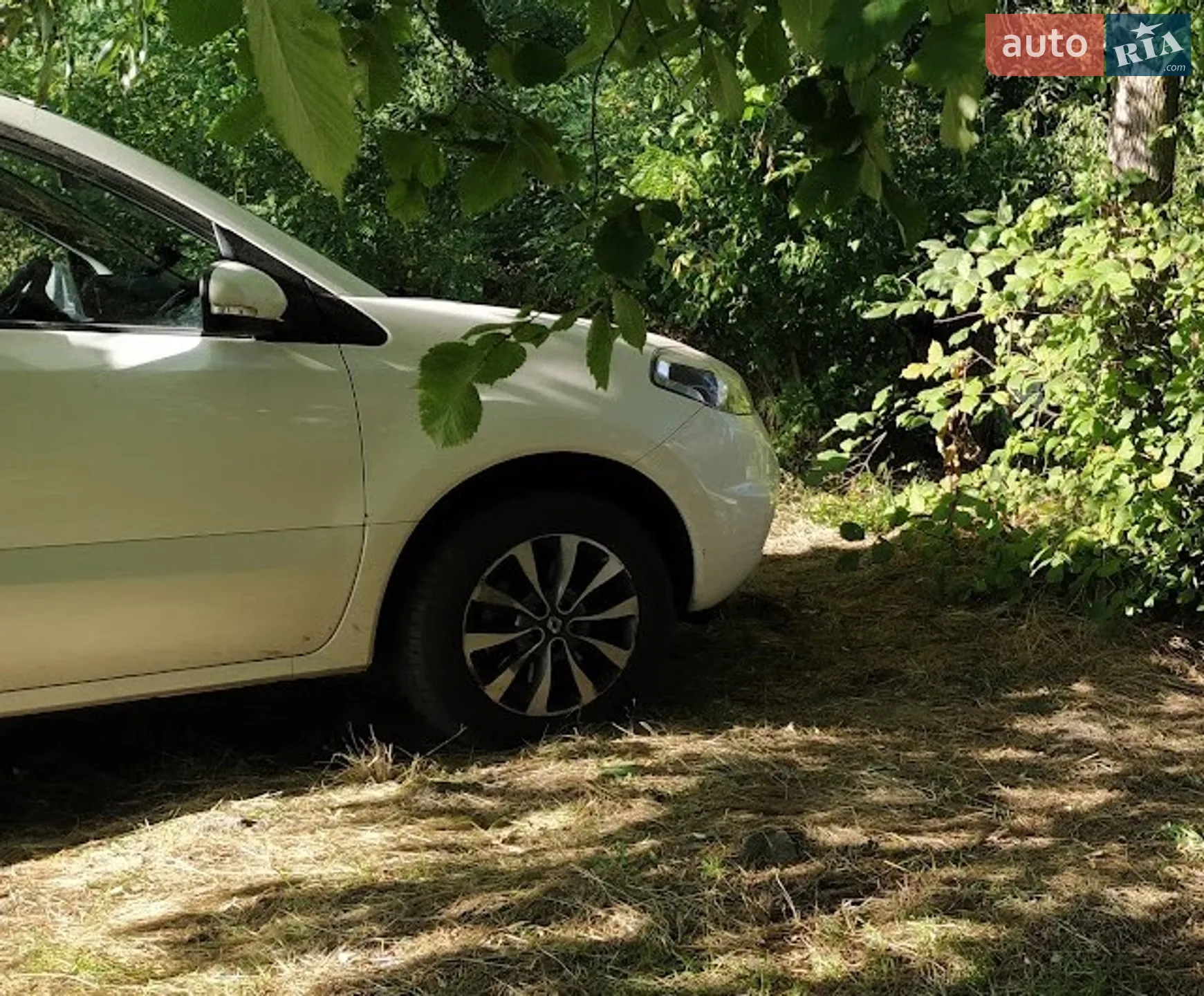 Renault Koleos 2011 VIN VF1VY6K0MUC380355 фото оголошення 13 з 13
