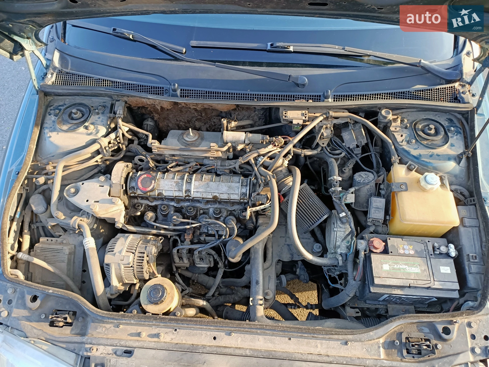 Renault Laguna 1997 VIN VF1B560KC16412873 фото оголошення 3 з 14