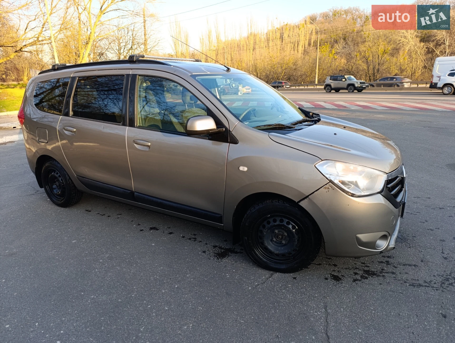 2014 Renault Lodgy - мініатюра 13
