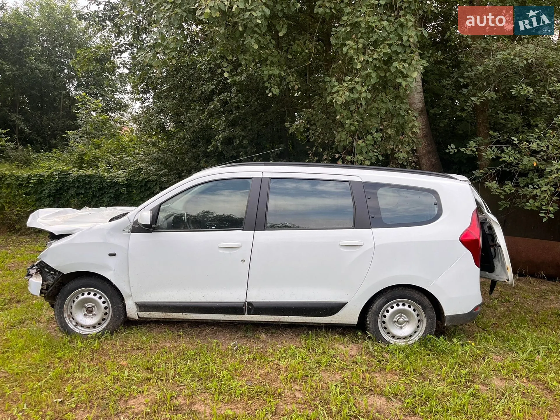 2013 Renault Lodgy - мініатюра 20