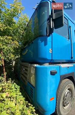 Зерновоз Renault Magnum 2005 в 