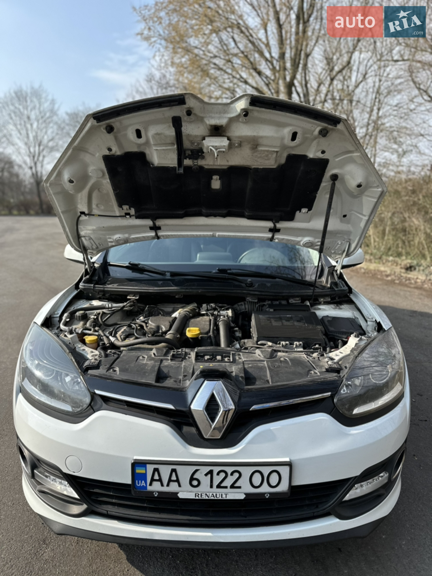 2015 Renault Megane - мініатюра 33