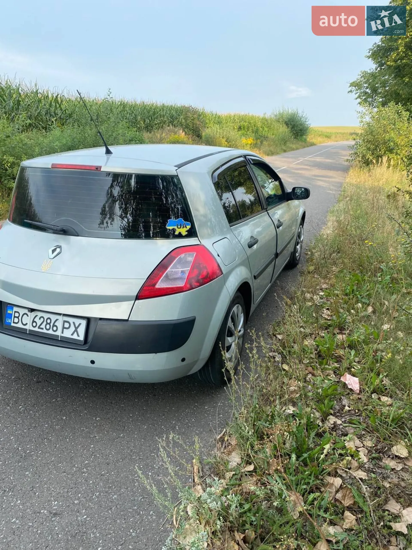Renault Megane 2003 VIN VF1BM0H0H28251864 фото оголошення 3 з 10