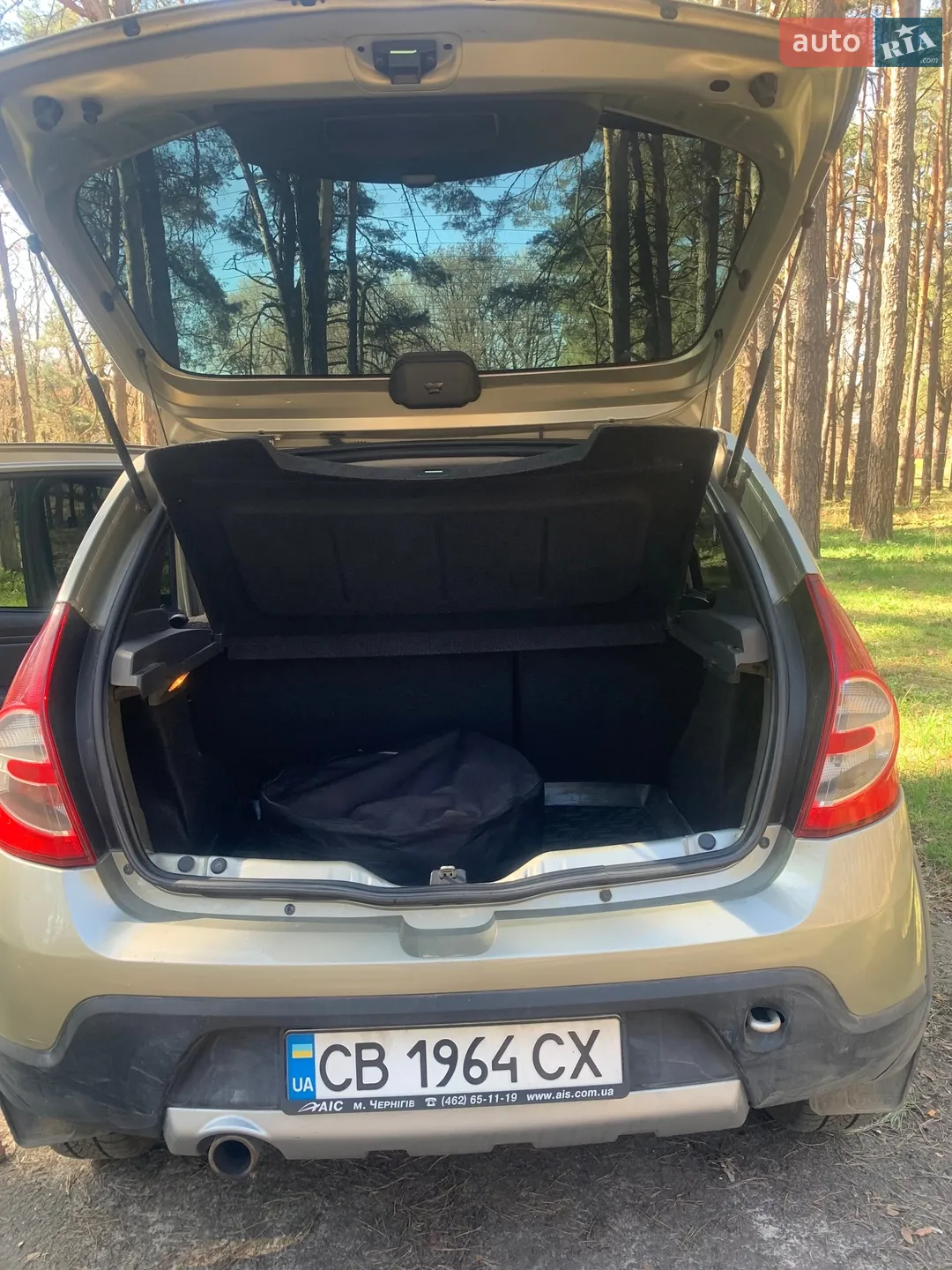 2012 Renault Sandero - мініатюра 13