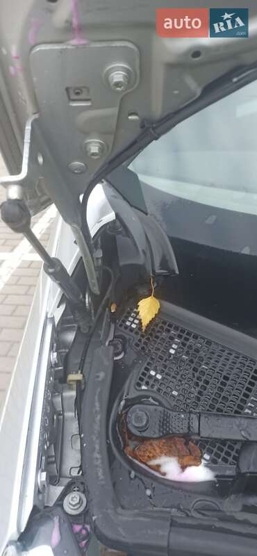 Мінівен Renault Scenic 2014 в Дубні