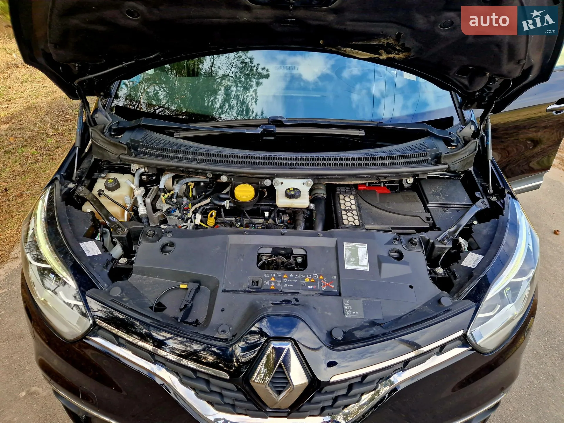 2019 Renault Scenic - мініатюра 25