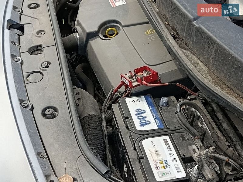 Минивэн Renault Scenic 2005 в Ковеле