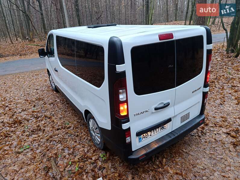 Минивэн Renault Trafic 2019 в Житомире фото 39 Минивэн Renault Trafic 2019 в Житомире