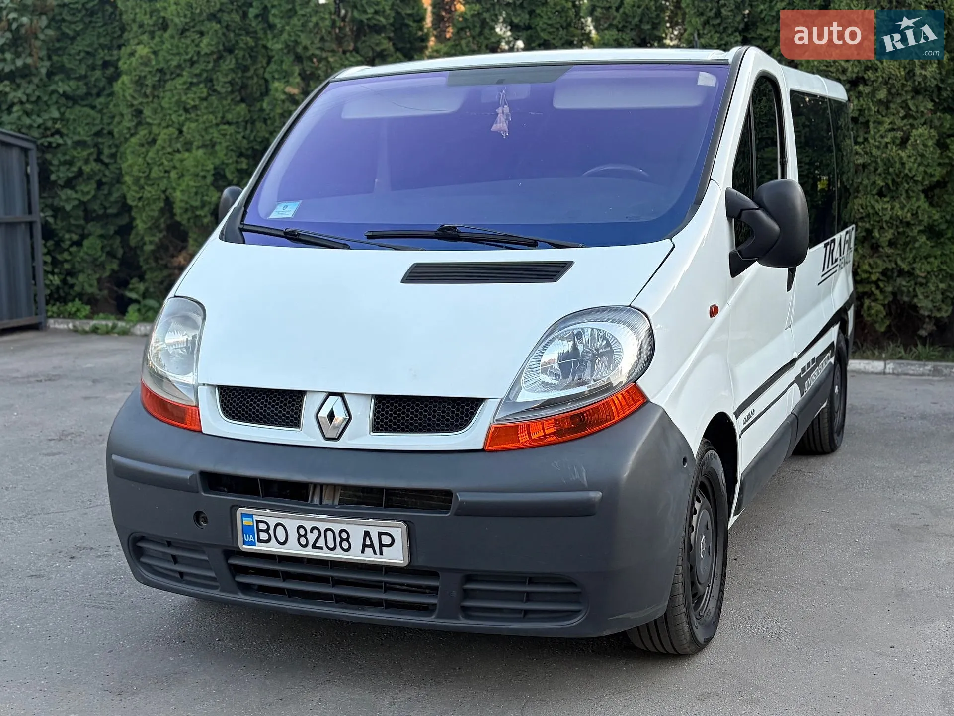 Renault Trafic 2006 VIN VF1FLABA56Y135337 фото оголошення 9 з 24