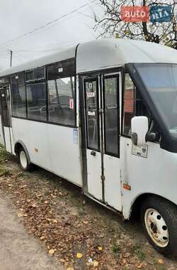 Микроавтобус РУТА 25 2012 в Чернигове