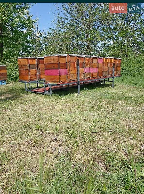 Лафет СамСобіПан АКМ-500 2023 в Дніпрі фото 3 Лафет СамСобіПан АКМ-500 2023 в Дніпрі