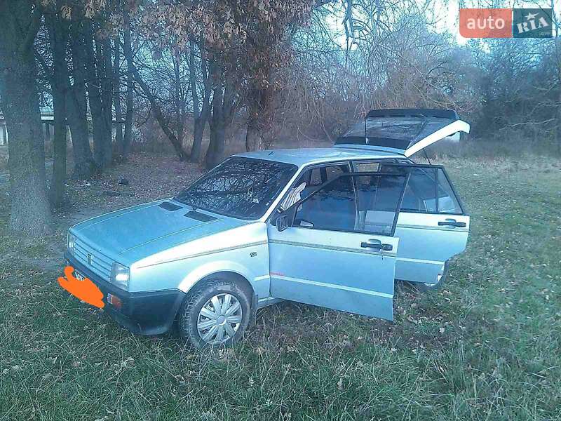 Хэтчбек SEAT Ibiza 1991 в Звягеле