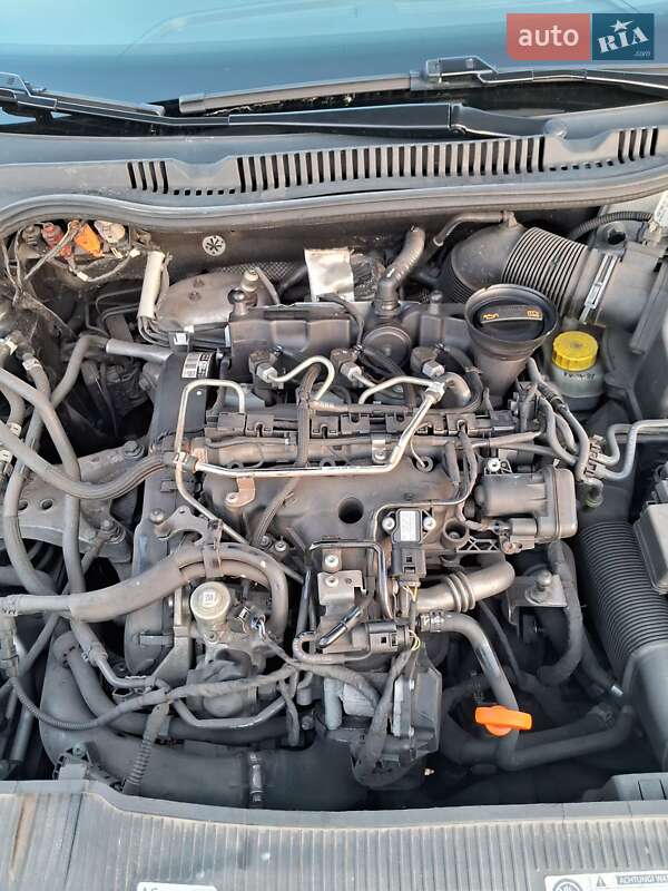 Хетчбек SEAT Ibiza 2010 в Рівному