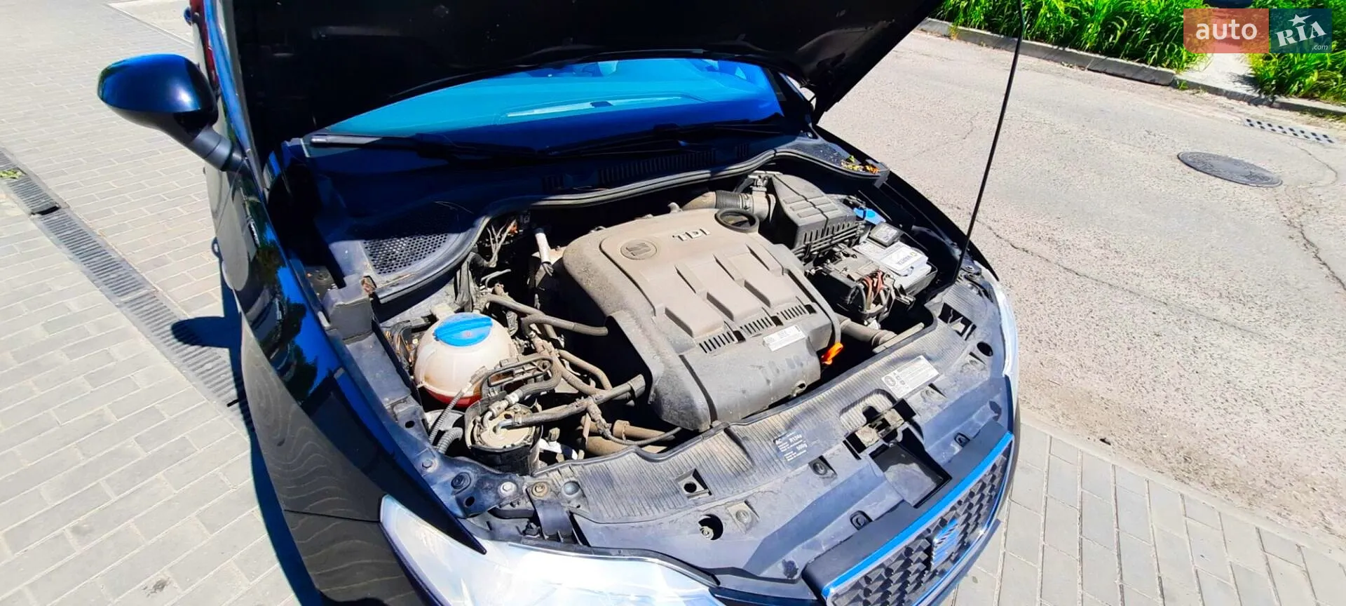 2010 SEAT Ibiza - мініатюра 3