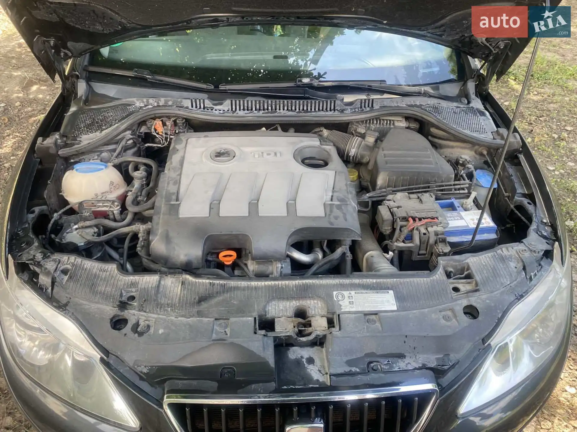2011 SEAT Ibiza - мініатюра 5
